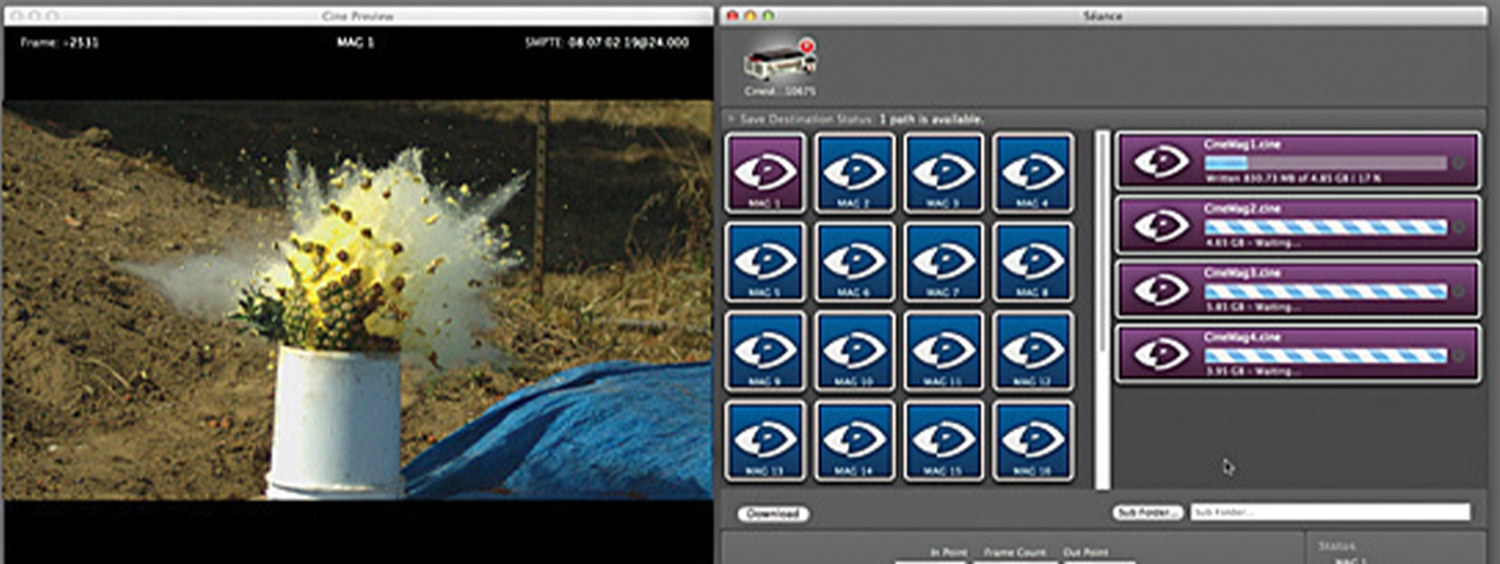 Seance Glue Tools Software